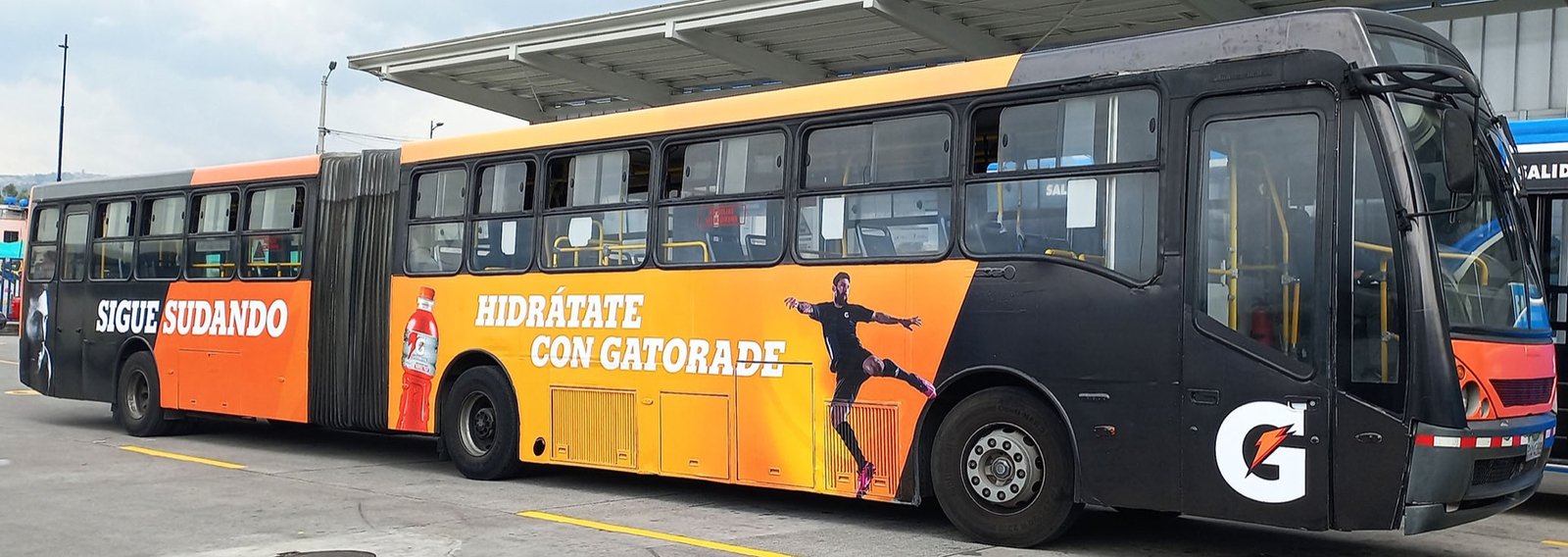 BRANDING TOTAL BUSES ARTICULADOS