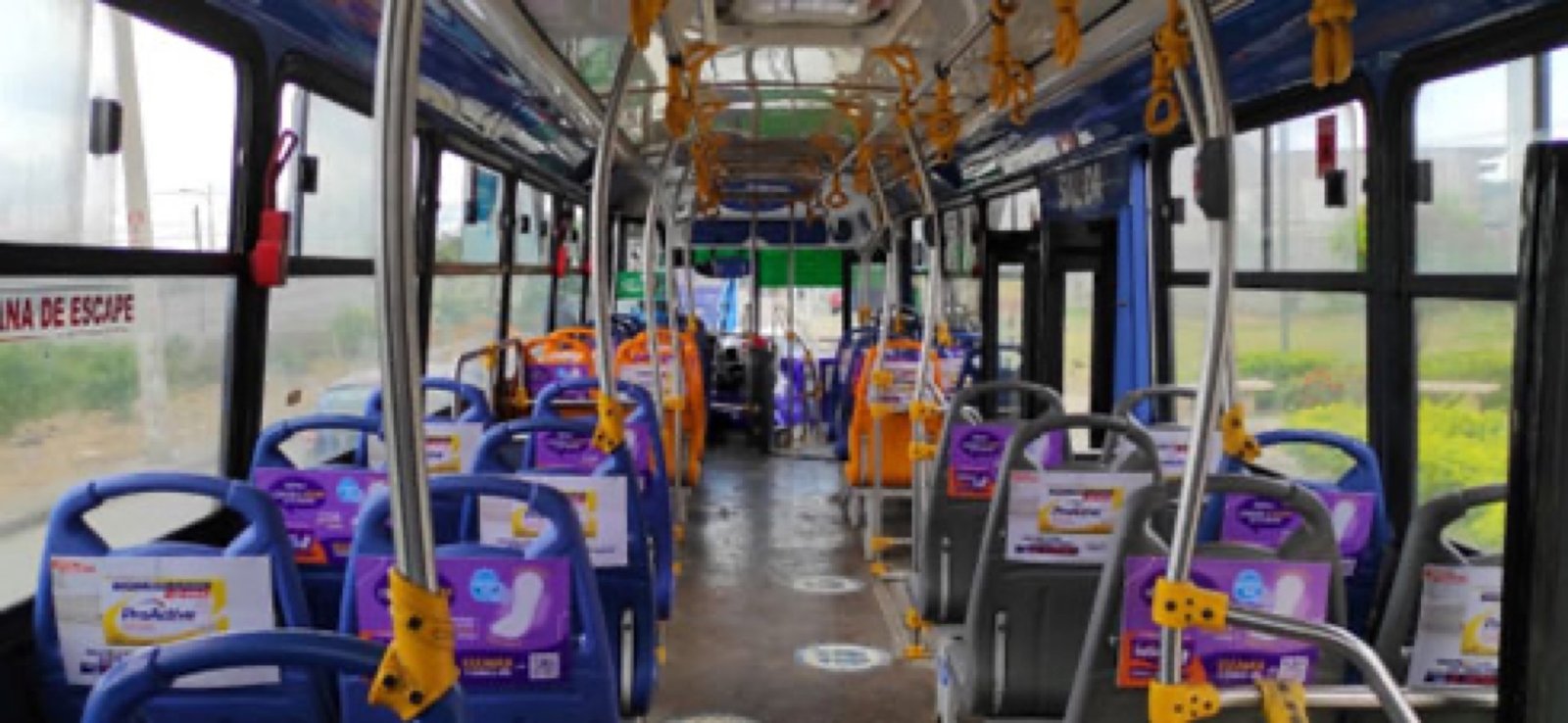 BRANDING INTERIOR BUSES