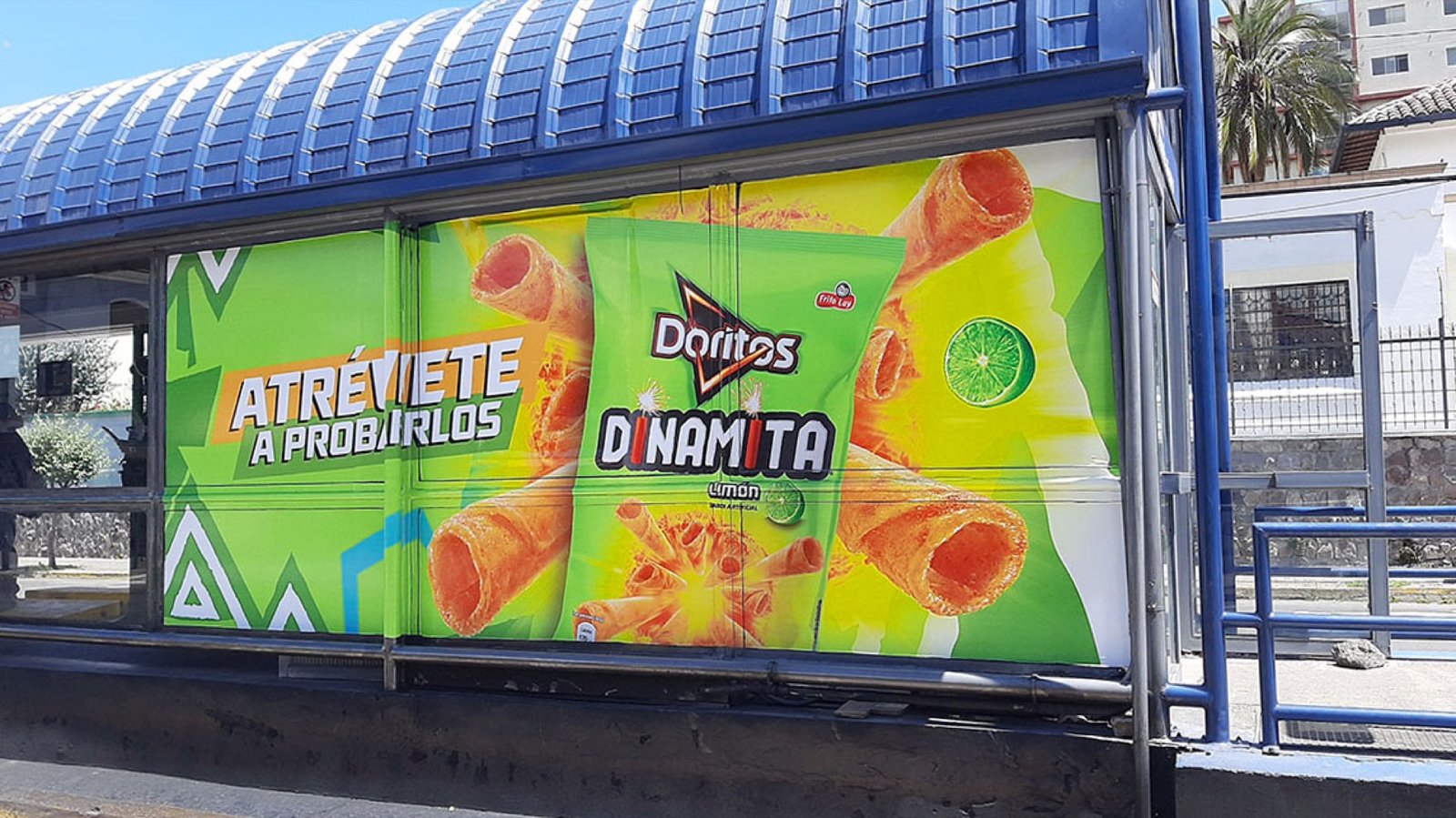 BRANDING PARADAS ECOVÍA Y TROLEBÚS