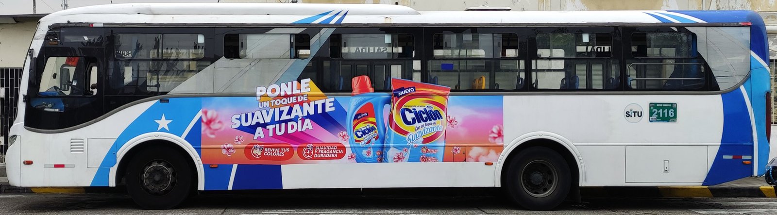 BUSES ELÉCTRICOS