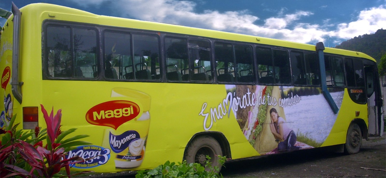 SHOWBUS